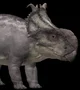 Pachyrhinosaurus