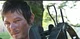 Daryl Dixon-MLM