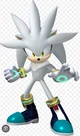 Silver The Hedgehog 
