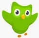 Duolingo