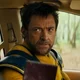 Wolverine Logan