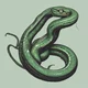 The Snake