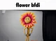 Flower -IF-