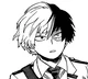 Shoto Todoroki