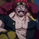 EUSTASS KIDD 