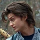 Steve Harrington