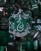 Slytherin Chat