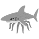Spider shark