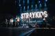 Stray Kids