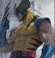 Wolverine