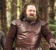 Robert Baratheon