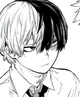 Shoto Todoroki