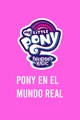 Pony El Mundo Real