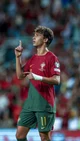 Joao Felix