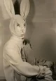 Sr Conejo