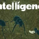Antelligence Roblox
