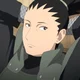 Shikamaru Nara