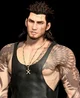 Gladiolus