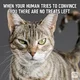 Cats memes god