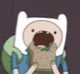 FINN THE HUMAN