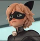 Cat noir