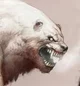 Mutant Polar Bear