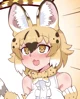 Serval EX4