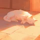 Old Fragile Pet Cat 