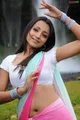 Trisha_maid