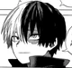 shoto todoroki