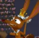 Bandicoot King