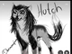 Hutch