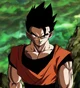 Gohan