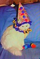 Party Kitty 