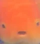 CarrotFish