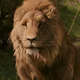 ASLAN - tcon