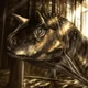 Carnotaurus