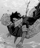 Dabi and Hawks