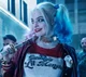 Harley Quinn 