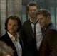 Team Free Will