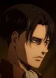 Levi Ackerman 