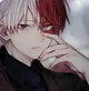 Shoto Todoroki