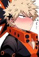 Katsuki Bakugou 