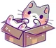 Kitty in a box