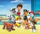Paw patrol