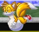 Pregnant Tails