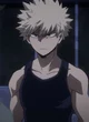 Katsuki Bakugou 