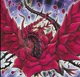 Black Rose Dragon