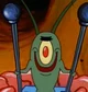 Plankton 