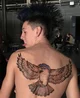 Hawk